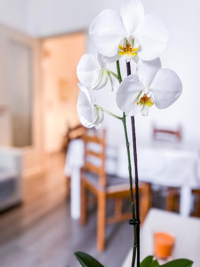 Myhouse Inn Marche - Affitti Brevi Italia Τορίνο Εξωτερικό φωτογραφία